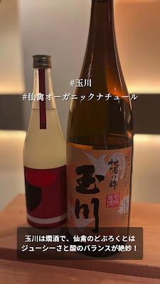 にほんしゅ椿 사진 2