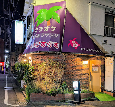 はいびすかす 사진 2