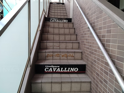 LiveSpace CAVALLINO 사진 5