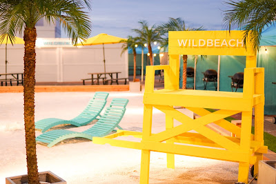 WILDBEACH 川口｜ワイルドビーチ【埼玉ビアガーデン】 사진 5