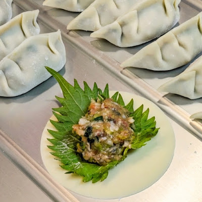 餃子居酒屋 モモタロ 사진 3