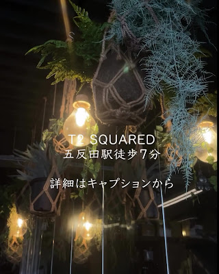 T2 SQUARED SHISHA CAFFE TRIBE GOTANDA 사진 2