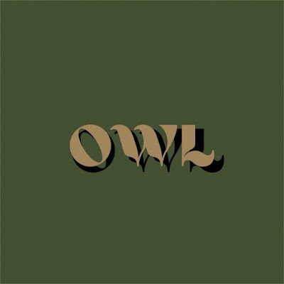 OWL 사진 5