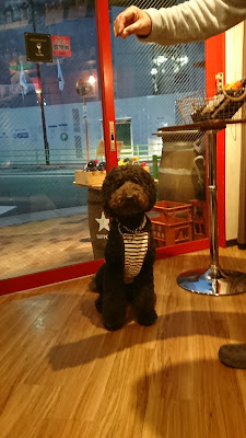 Uchiyama Store 사진 3
