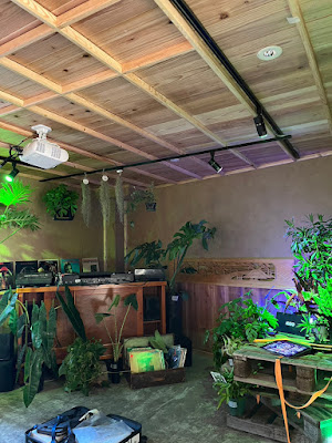 Public House Zen 浅草店 사진 2