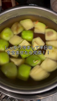 Igarashi 사진 2