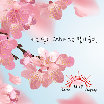 Snack Taeyang (スナック テヤン) 사진 3
