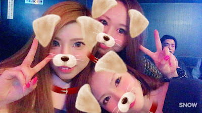 놈놈 사진 3