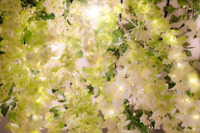 Wisteria Seven 사진 3