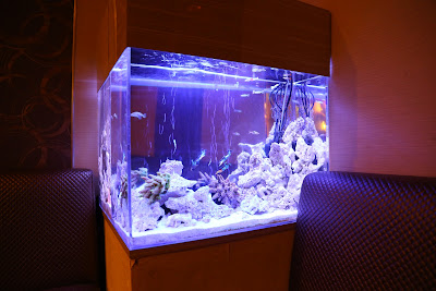 Lounge Fusa 사진 5