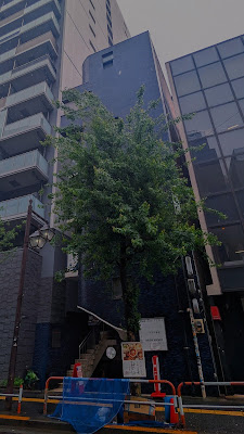 トゥーズ 사진 3