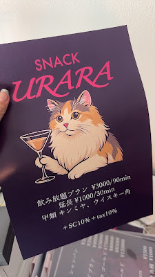 URARA スナックウララ 新橋 カラオケ 사진 2