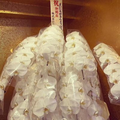 Everyday is Friday 사진 4