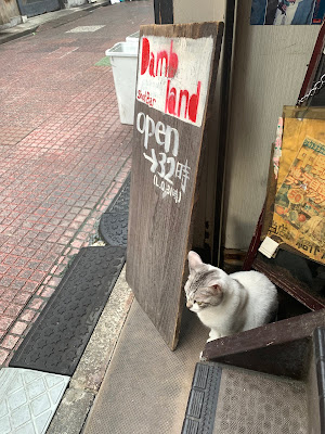 ダムランド 사진 2