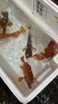 츠쿠다 타키사부로 스시 아사쿠사점 사진 2
