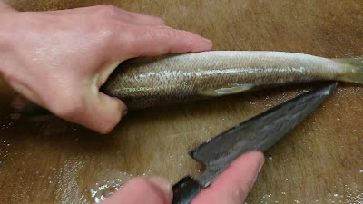 Sushi Ei 사진 2