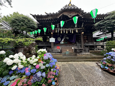 하쿠산 신사 사진 4