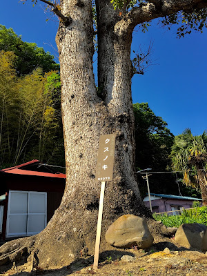 Suwa Shrine 사진 5