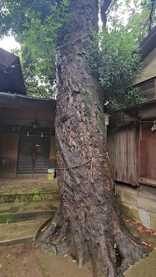 카미노게이나리 신사 사진 2