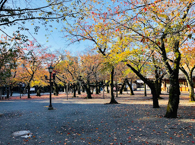 야스쿠니 신사 참집전 사진 3