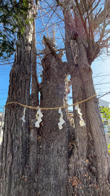 Shinmei (Toyouke) Shrine 사진 2