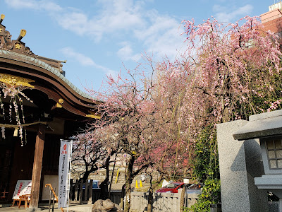 신사 사진 3