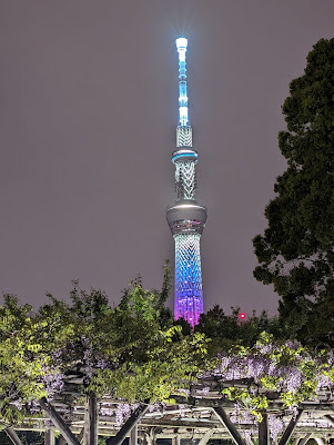 Kameido Tenjin Wisteria Frames 사진 3