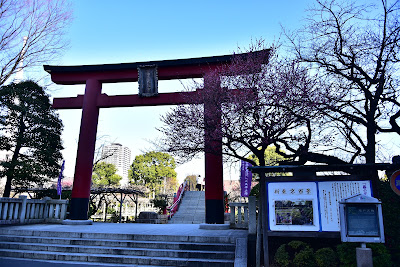 Kameido Tenjin Wisteria Frames 사진 5