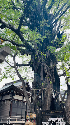Tobiki Inari Shrine 사진 5