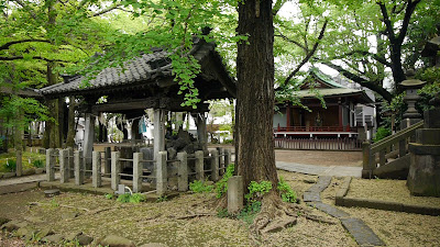 스와 신사 사진 5