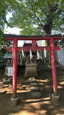 카스가 신사 사진 5