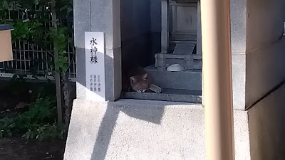 오다이 텐소 신사 사진 2