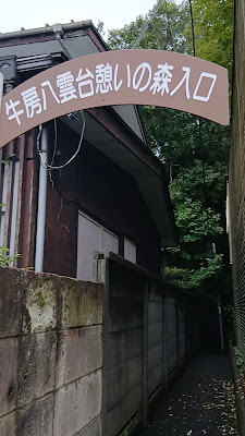우시후사 야쿠모 신사 사진 2