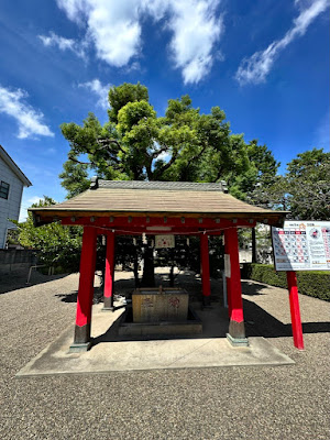 Motogohikawa Shrine 사진 4