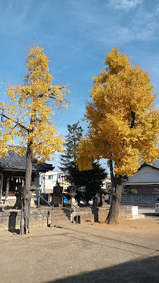 Koshindeninari Shrine 사진 4
