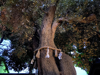 Kamiaokihikawa Shrine 사진 5