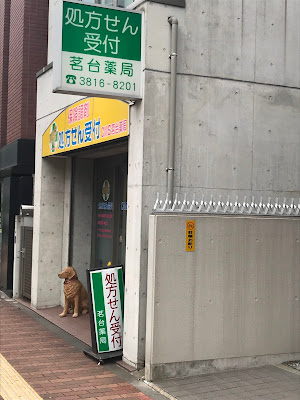 메이다이 약국 사진 3