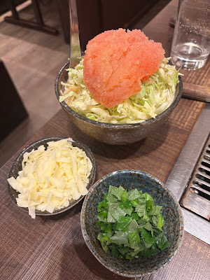 모헤지 하나레 사진 3