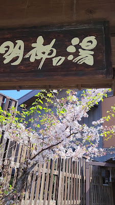 Oyata onsen Myojin Hot Spring 사진 2