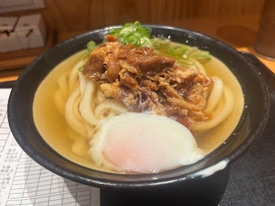 호시노 사진 4