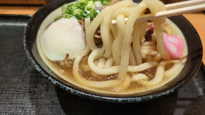 호시노 사진 2