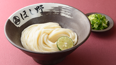 호시노 사진 3