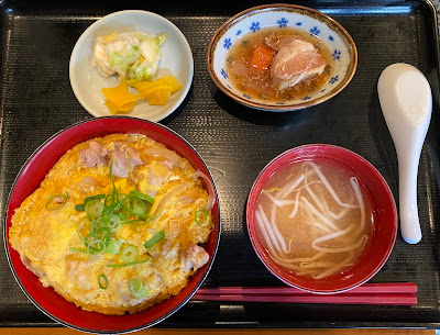 하나젠 사진 3