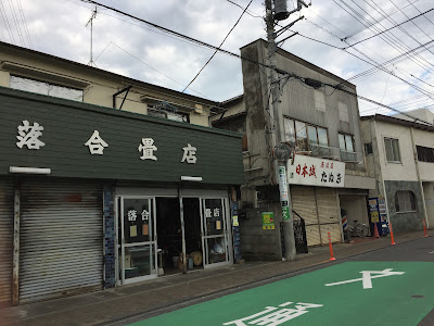 Tanuki 사진 3