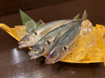 お野菜と日本酒 大地 사진 3