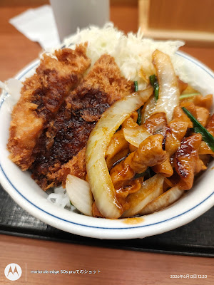 가쓰야 아키하바라 중앙개찰구점 사진 3