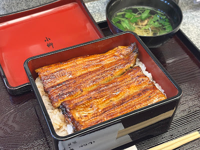 코야나기 사진 3