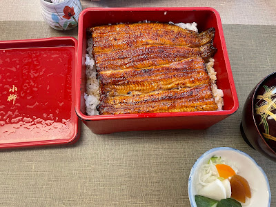 코야나기 사진 4