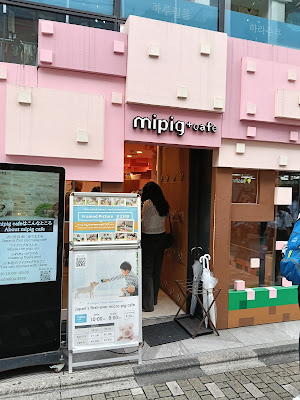mipig cafe Harajuku 사진 3