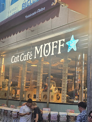 Cat Cafe MOFF CUTE CUBE Harajuku 사진 3